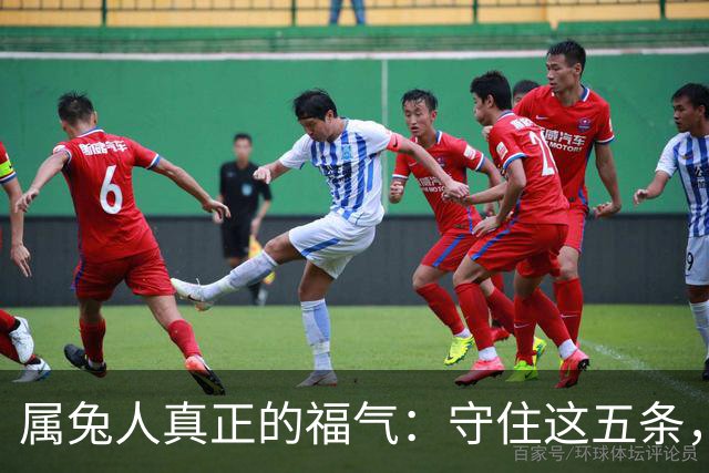 属兔人真正的福气：守住这五条，余生安稳顺遂